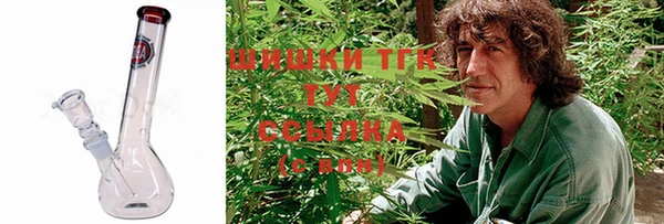 стафф Северо-Курильск