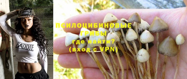 альфа пвп Михайловск