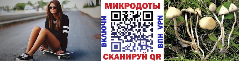 Псилоцибиновые грибы GOLDEN TEACHER  Красноярск 