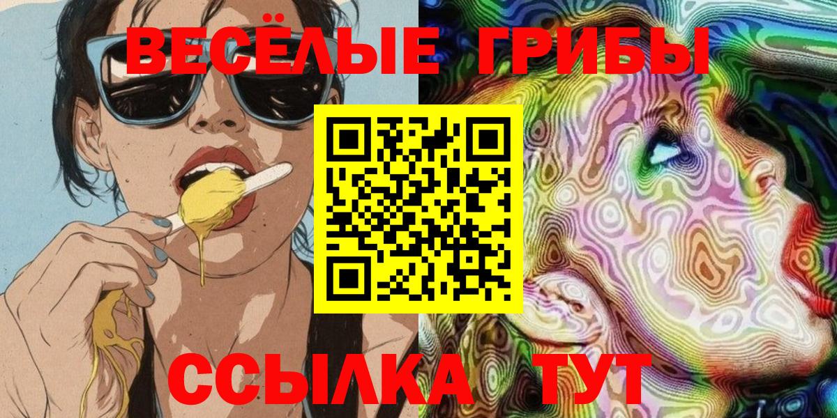 Россия  Галлюциногенные грибы MAGIC MUSHROOMS  Вход с VPN 